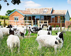 Holidays in Suffolk